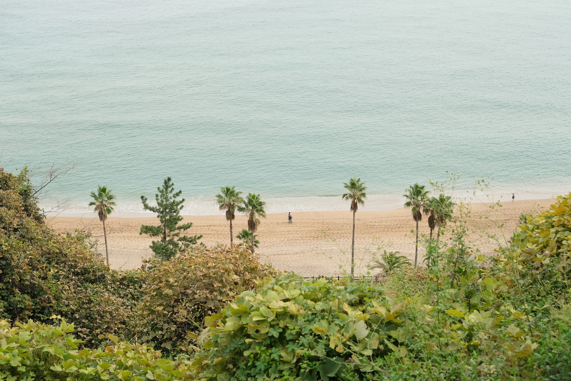 Sea